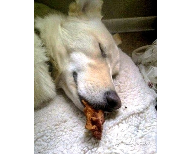 ��؛���������h(yu��n)����