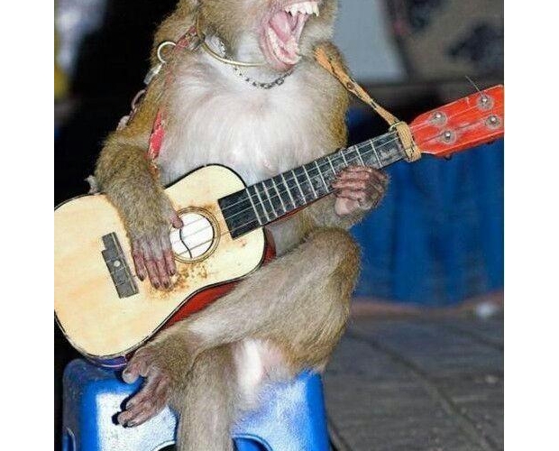 ���˶�Ҫ��(��i)�������}��׃�ײ���