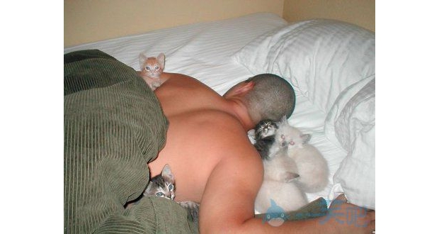 ����������һ��˯�����а�ȫ