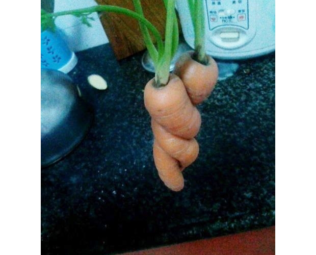 �黨��z��ѽ