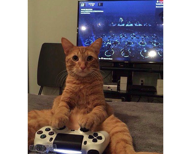 ��Ů����(l��i)ѽһ��������