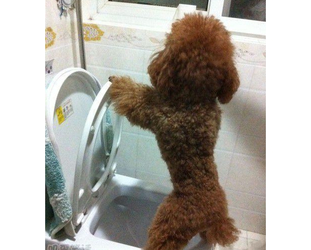 ����֪��������ô������