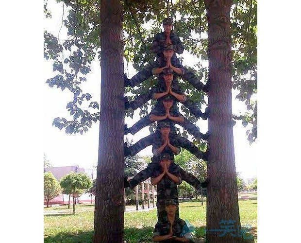 ܊Ӗ(x��n)�ĳɹ�