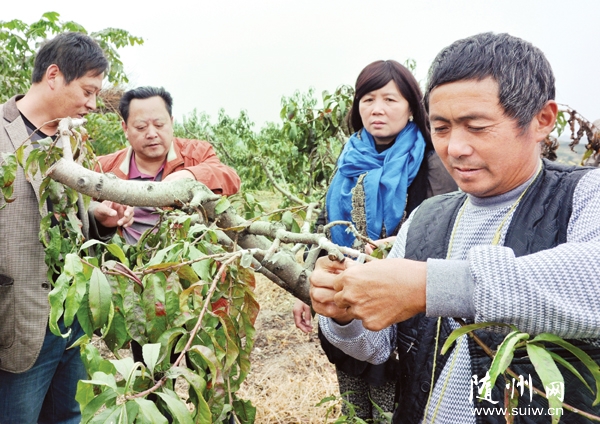 �S�h�ƅf(xi��)�M���Nֲ����?gu��)������r(n��ng)��(du��)�Ϲ��@�M(j��n)��Ʒ�N����