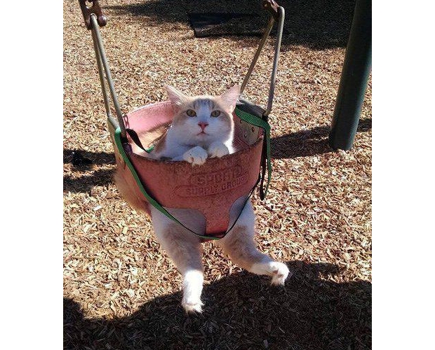 ��ʲô�����](m��i)���^(gu��)��؈ʎ��ǧ�᣿