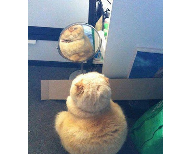 �P�������������֎���~