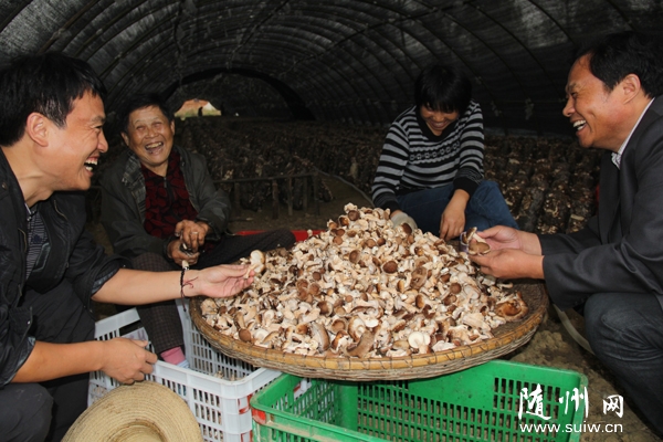 �����^(q��)�ƅf(xi��)ʳ�þ����ҵ�����(zh��n)�ſ��ߴ�ָ��(d��o)�㹽�֓���ֵ