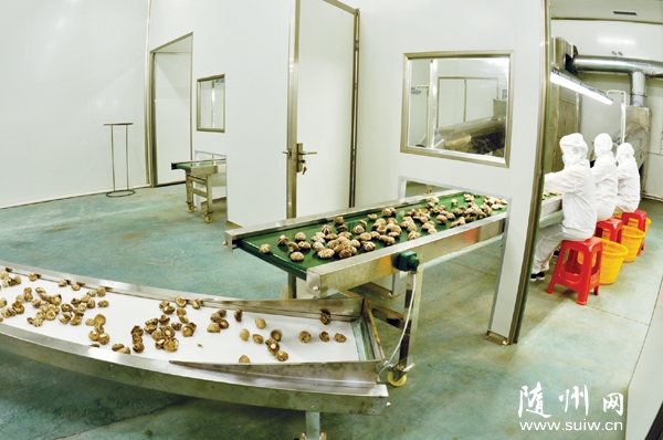 �S�h��ԣ�����I(y��) Ͷ�Y�½��F(xi��n)�������a(ch��n)��