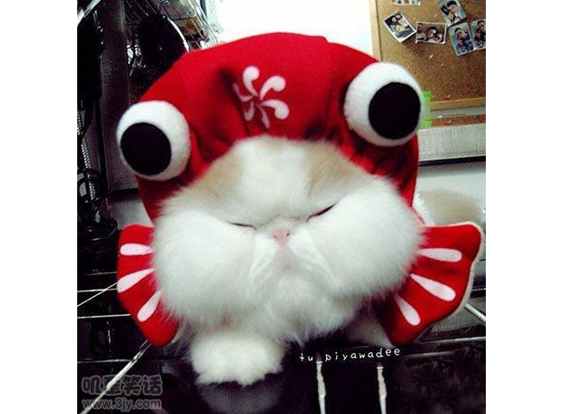 �������ˣ��ҵ��۾����������ǃɂ�(g��)��