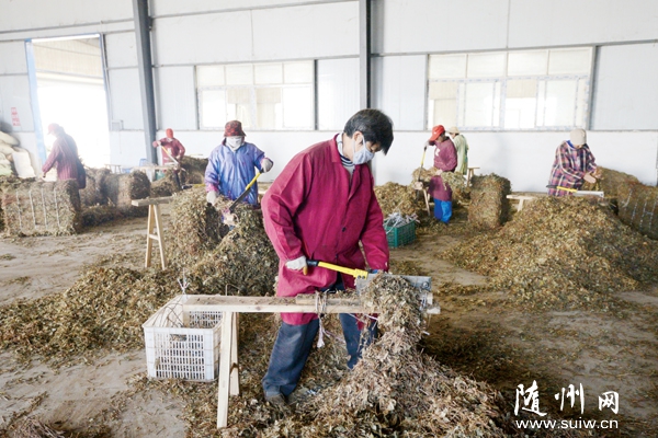 �S�h�߳��(zh��n)���l(f��)���خa(ch��n)��˾���ڽ�ǧ����ˎ������(chu��ng)�R�^1000�f��Ԫ