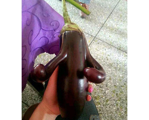 ���Ӿ�������С���D(zhu��n)����