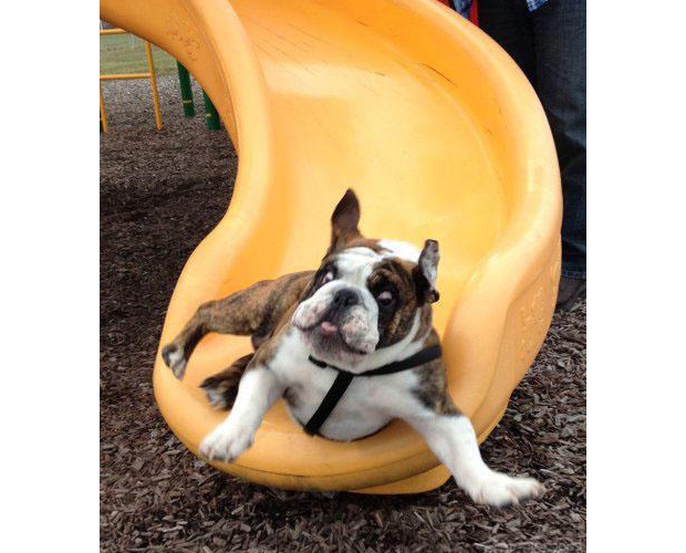 ��?zh��n)����ݲ��c(di��n)���򇘳�����