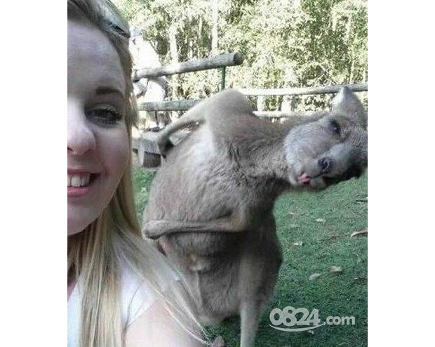 �����Rʮ��