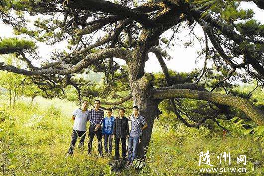 �S�h�f���(zh��n)�������Ҟ���һ�Ø��g�_500����ĺ���