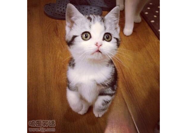 ��վֱ������o��С�~��