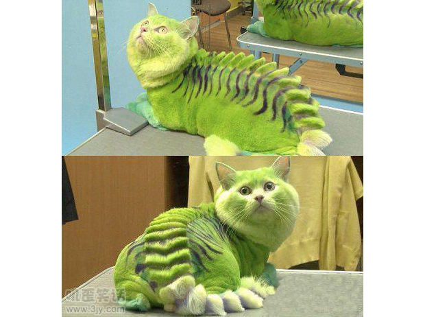 ū���������Ⱦ���@�ӣ���������