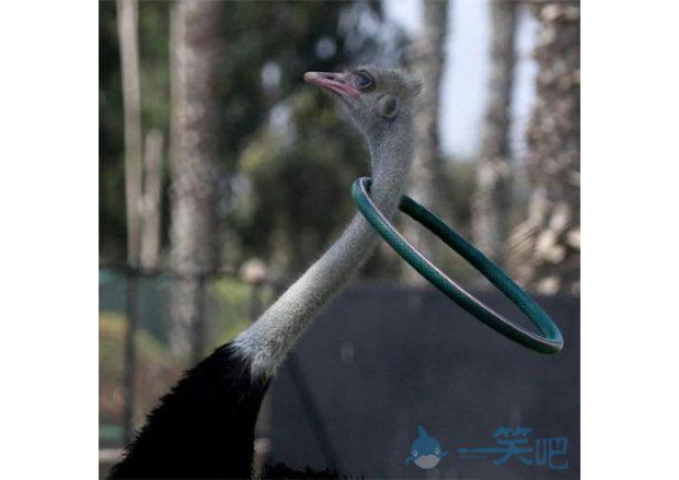 �����������Ȧ������Ҳ����