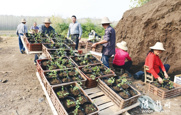 ���^(q��)�����(zh��n)������˾���Ӯ�?sh��)ش����ԷN�{ݮ