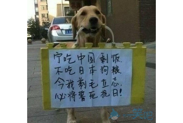 �����Ŀ�����ѣ�һ��Ҫ�һ