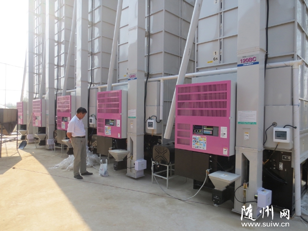 �S�h���d��ͥ�r(n��ng)��(ch��ng)��(sh��)�F(xi��n)�Zʳ����F(xi��n)����