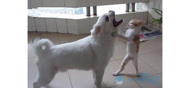 �����������