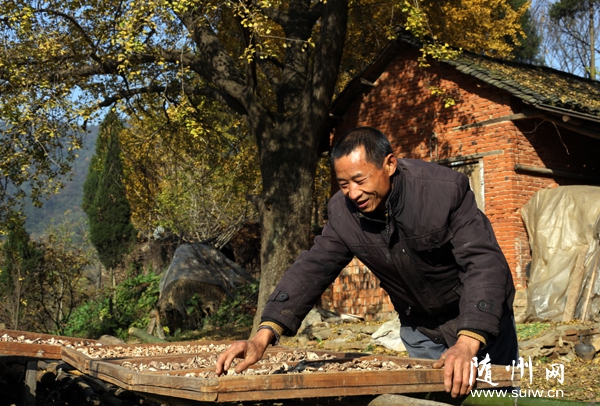 ����(zh��n)�r(n��ng)��Nֲ�㹽��߼�ͥ����