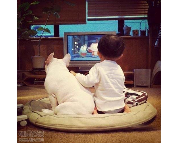 ���А۵Į�����