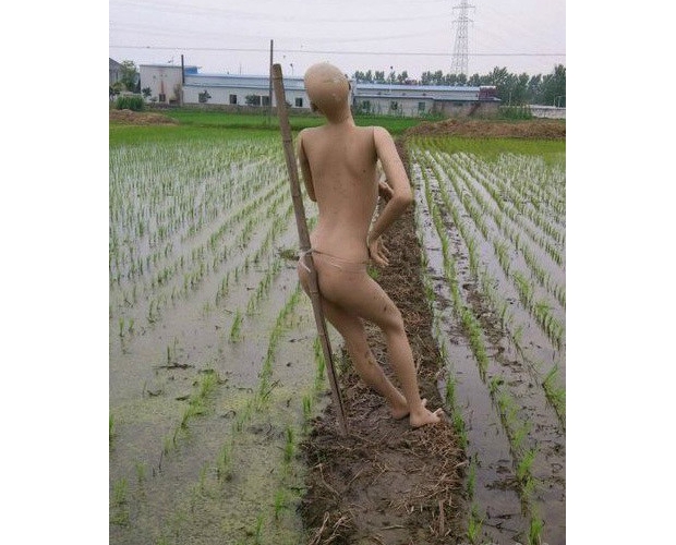 ���@�ӵĵ���������ĺÆ���