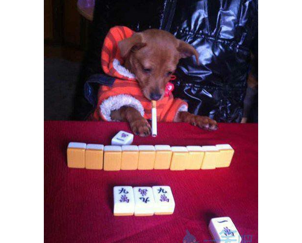 �����@��(g��)��ʲô��