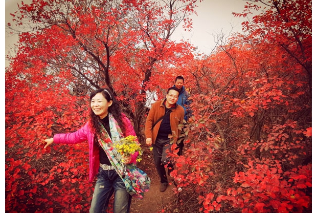 �Fɽ�t�~������