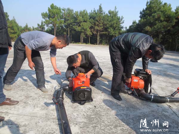 �S�h�����(zh��n)��(qi��ng)��ɭ�ַ���