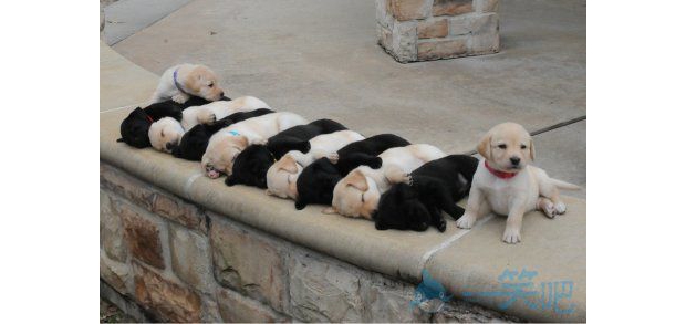 ���R��˯�X�˄�(sh��)