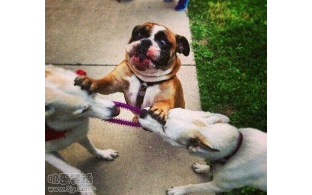 ��Ҫ��ܲ�Ҫ���