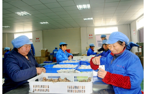 ��ɫ���╳�N�|�ρ�