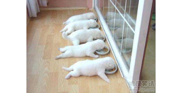 ����(x��)�T��������