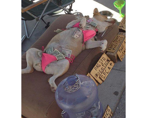 �������ճ�