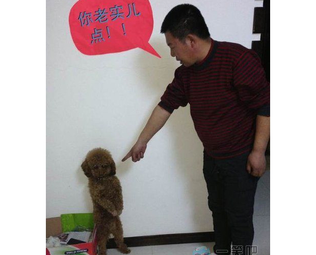 �J���˰����b�ɑz��ɶ�ð���