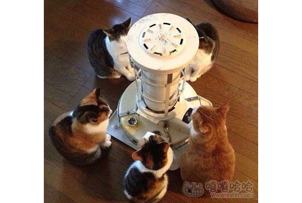 ������Ψһ������(j��ng)�¾��ǿ�Ę