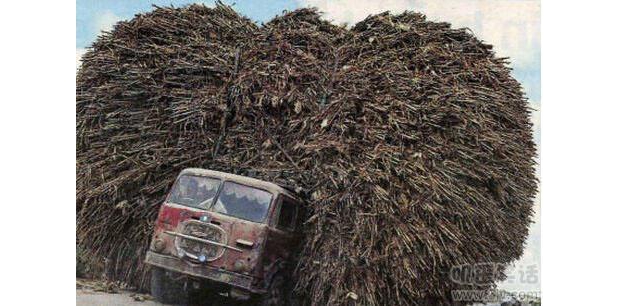 �@܇�|(zh��)�����