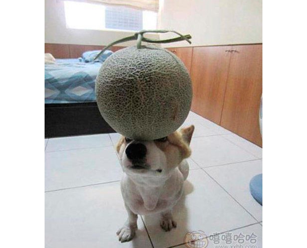 �ҼҶ����ǂ�������