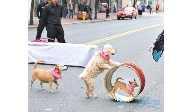 �sˣ������