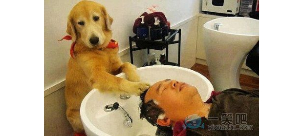 �ú�ϴ�����Ͻo��Ӳ�