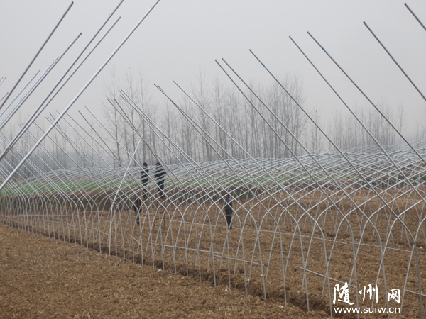 �S�h�����(zh��n)�ߘ�(bi��o)��(zh��n)��(chu��ng)�������߲˴��(zh��n)