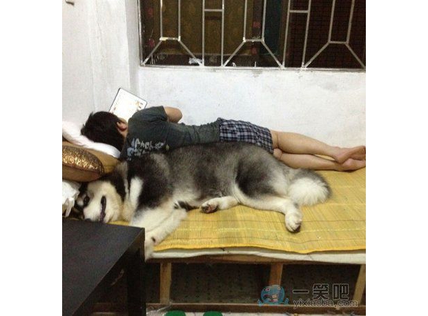 �������ٿ����c�І����Ҹ첲