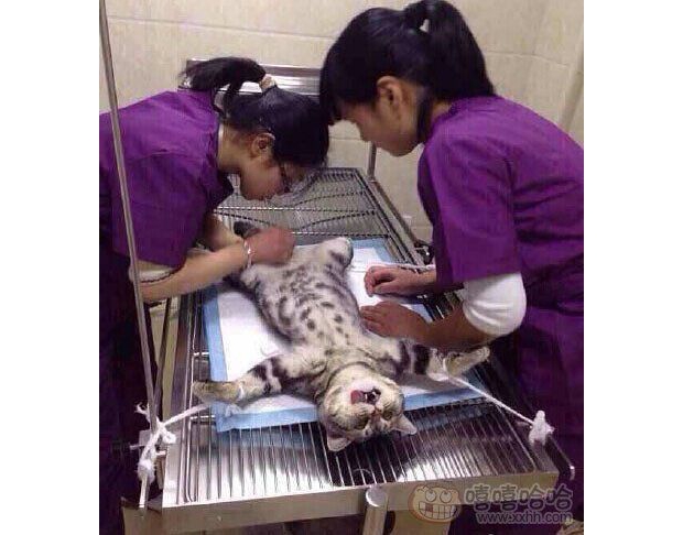 ��������̫��λ�ˣ�