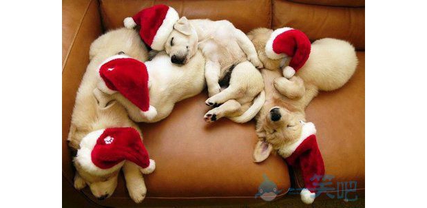 �Ҽ���ֻ���ȵĹ���