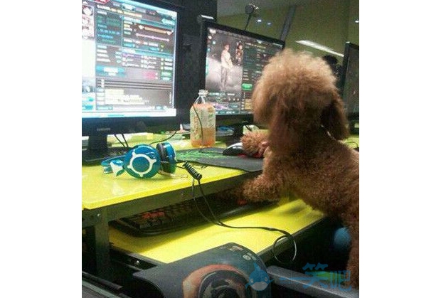 �y�ֽ�������һ�����繷���