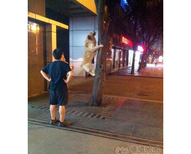 �������e�������������