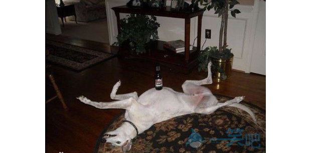 ���˿������������Ӷ�����