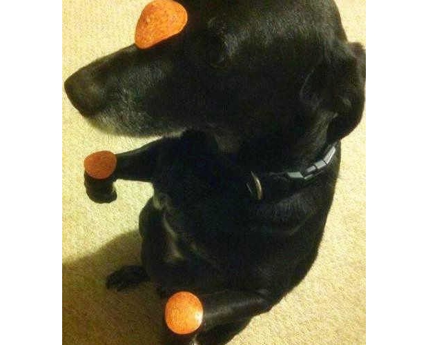 ͵����Ƭ����